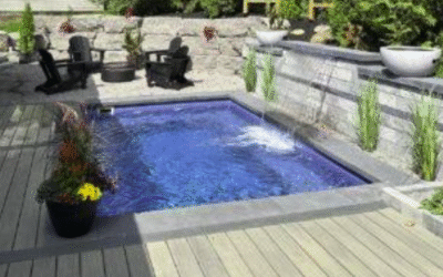 Backyard Wellness at Home: Pools, Hot Tubs, Swim Spas, and Cold Plunges