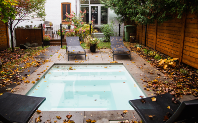 Thinking About a Pool This Fall? Why Timing Matters More Than You Think